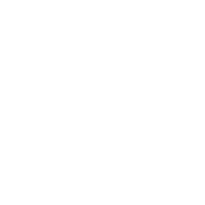 logo Enfusion