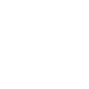 logo F2