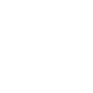 logo F3